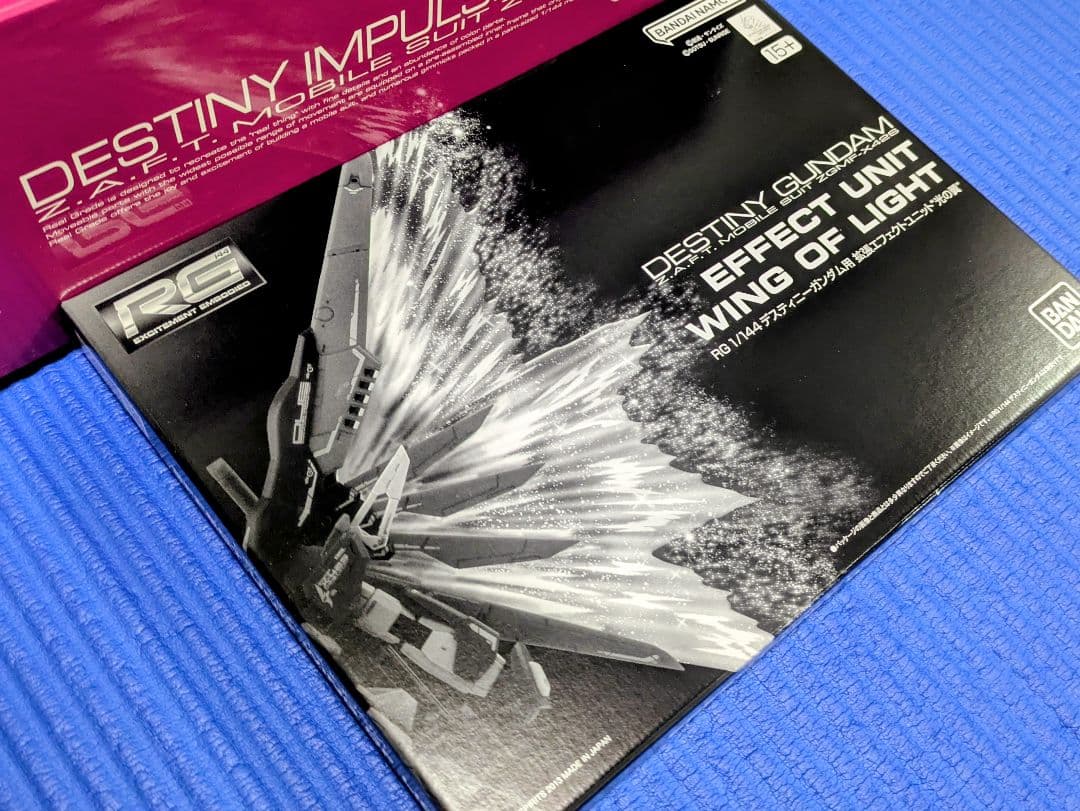 RG デスティニーインパルス＋光の翼セット
