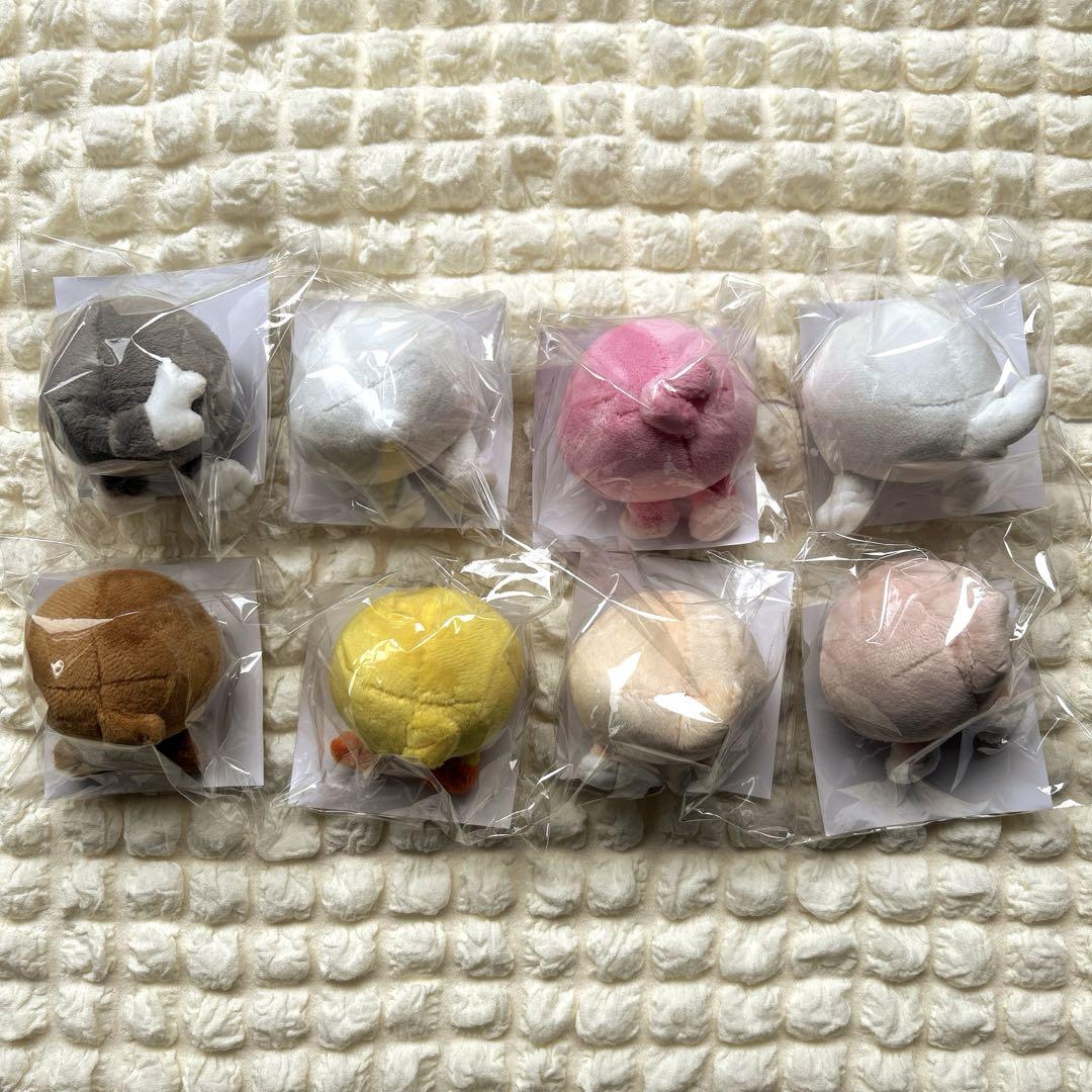 高嶺のなでしこ 城月菜央 直筆サイン入りブロマイド - メルカリ