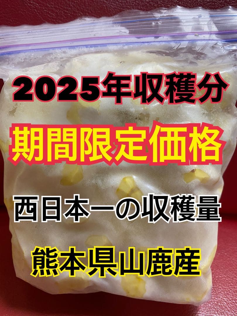 期間 熊本県産和栗 むき栗