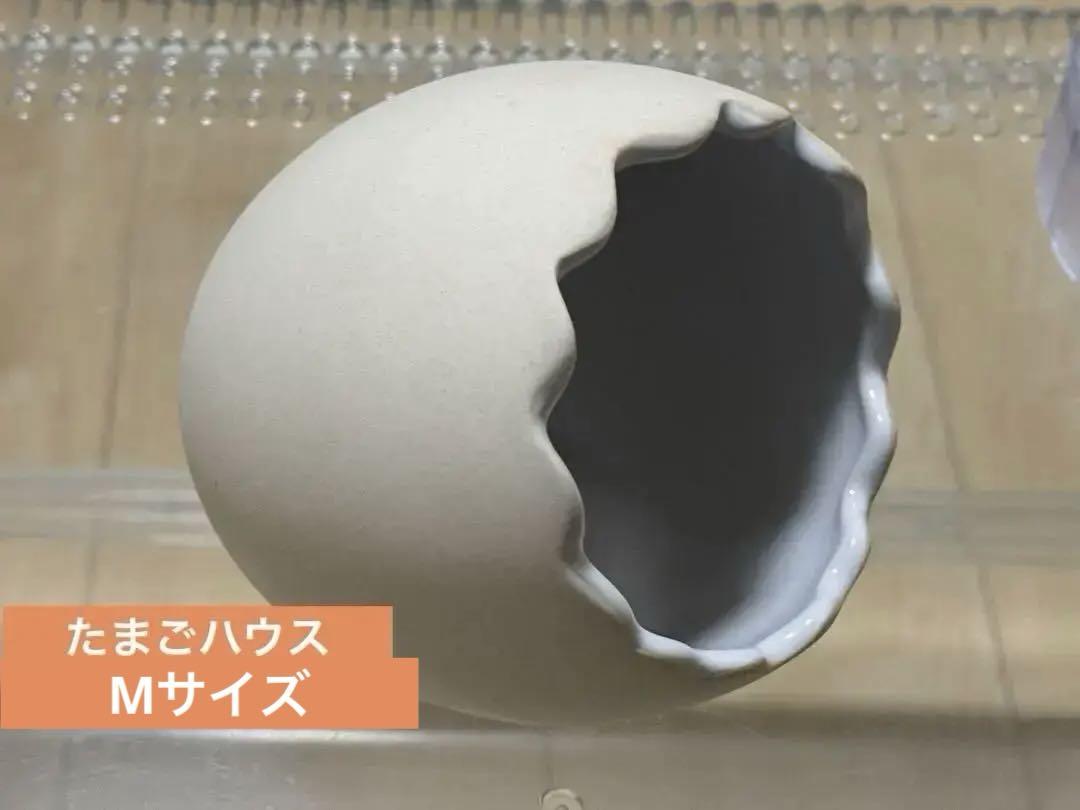 美品 GEXグラスハーモニー450プラス クリアケージ ハムスター