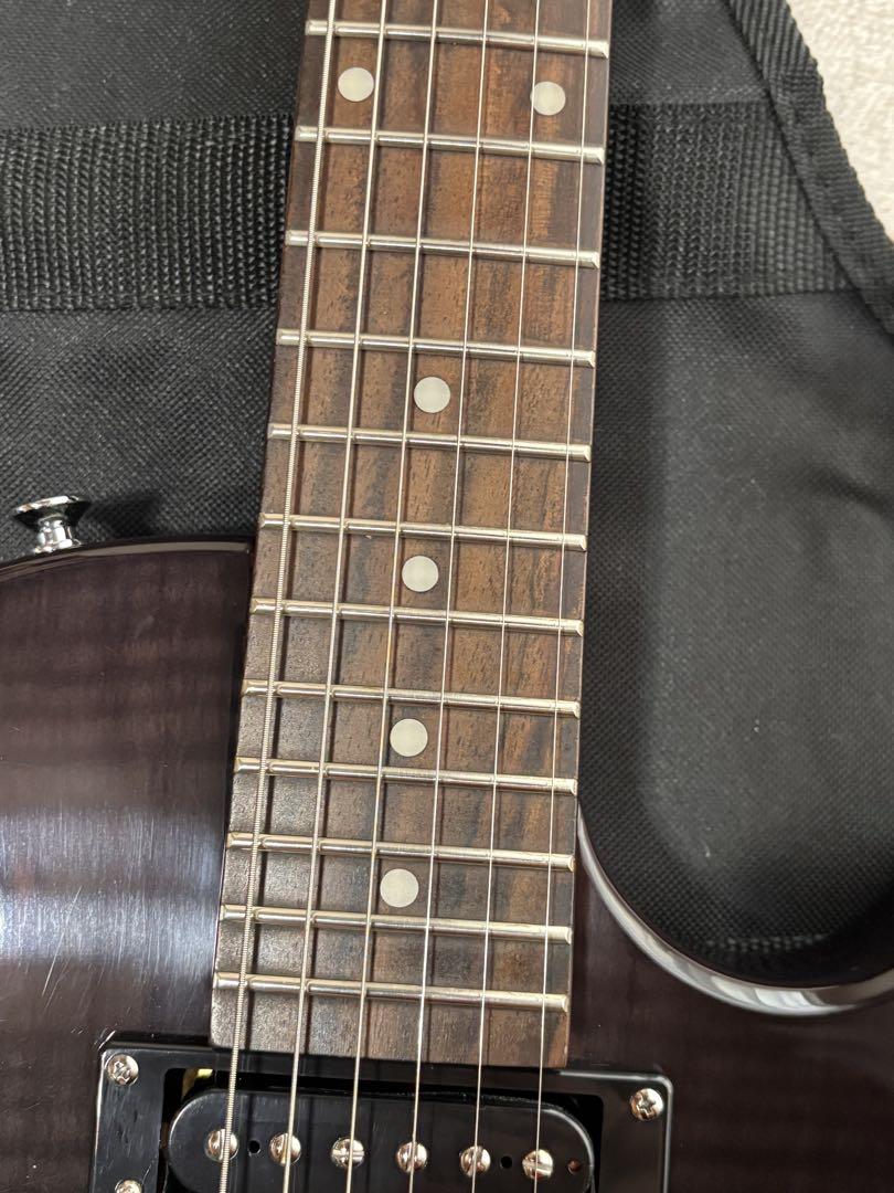 Epiphone LesPaul Special Ⅱ Custom Shop