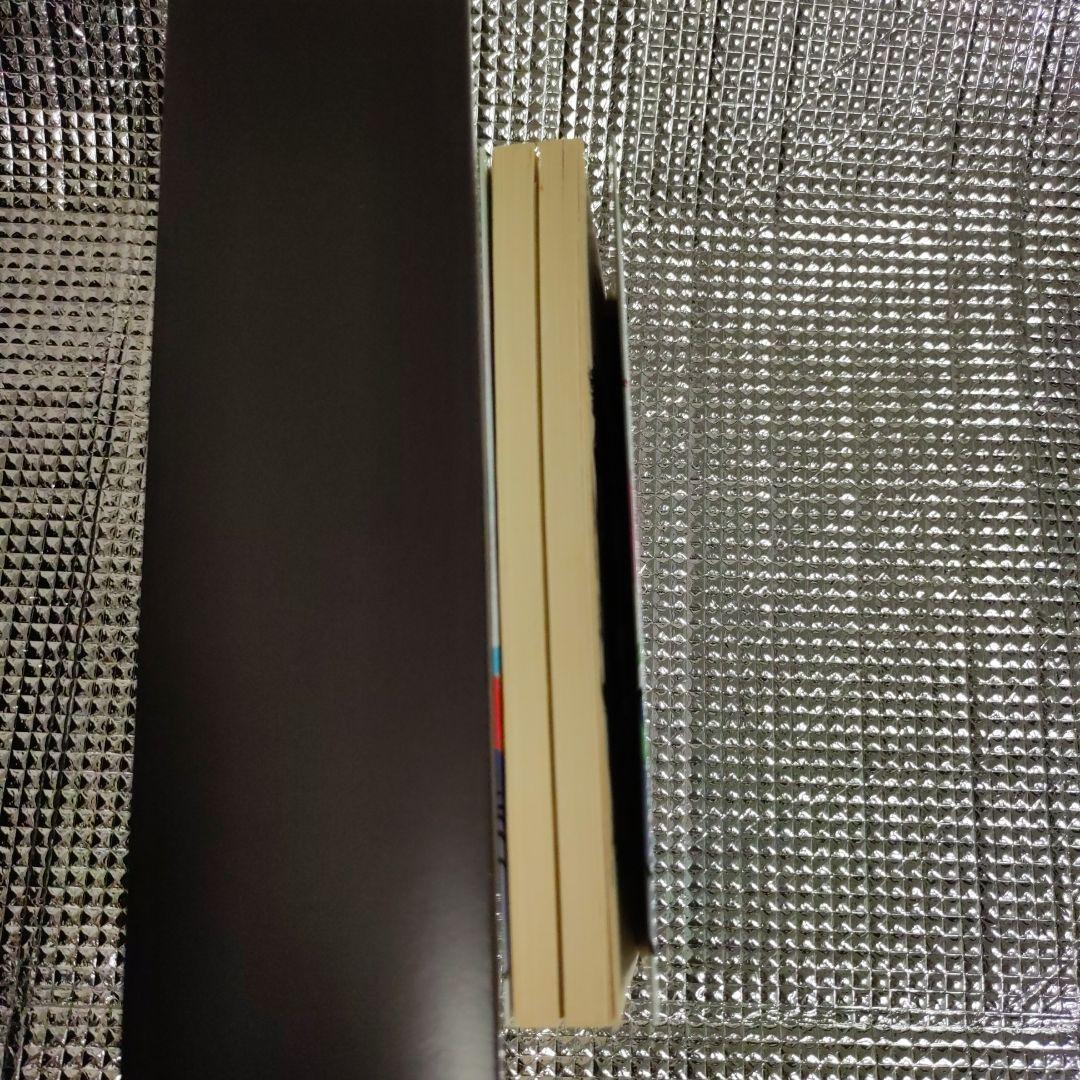 仙道符咒気功法 : 仙道が究めた超絶・最強のメソッド! 符咒図の働きで気が巡る…