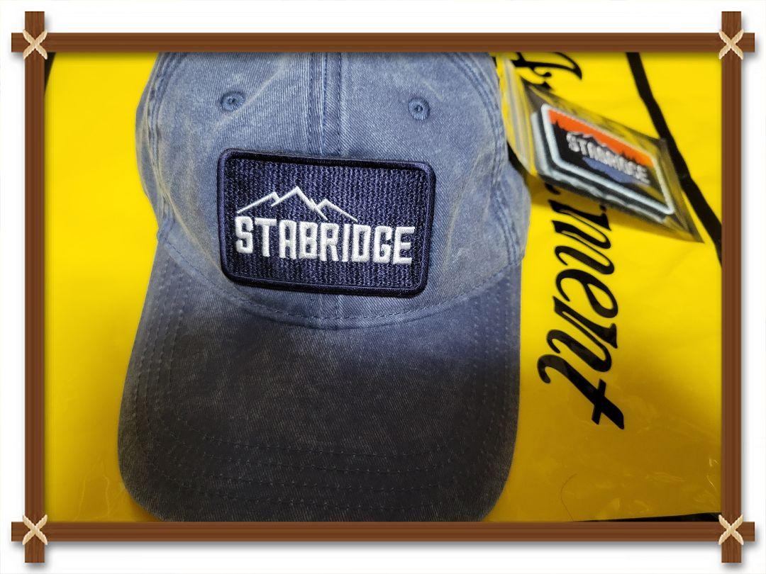 STABRIDGE REMOVABLE PATCH CAP apartment