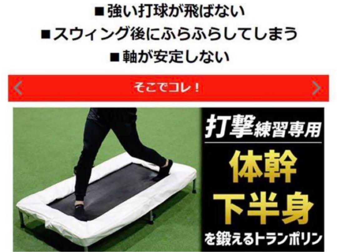 FIELD FORCE トランポリン 打撃練習用