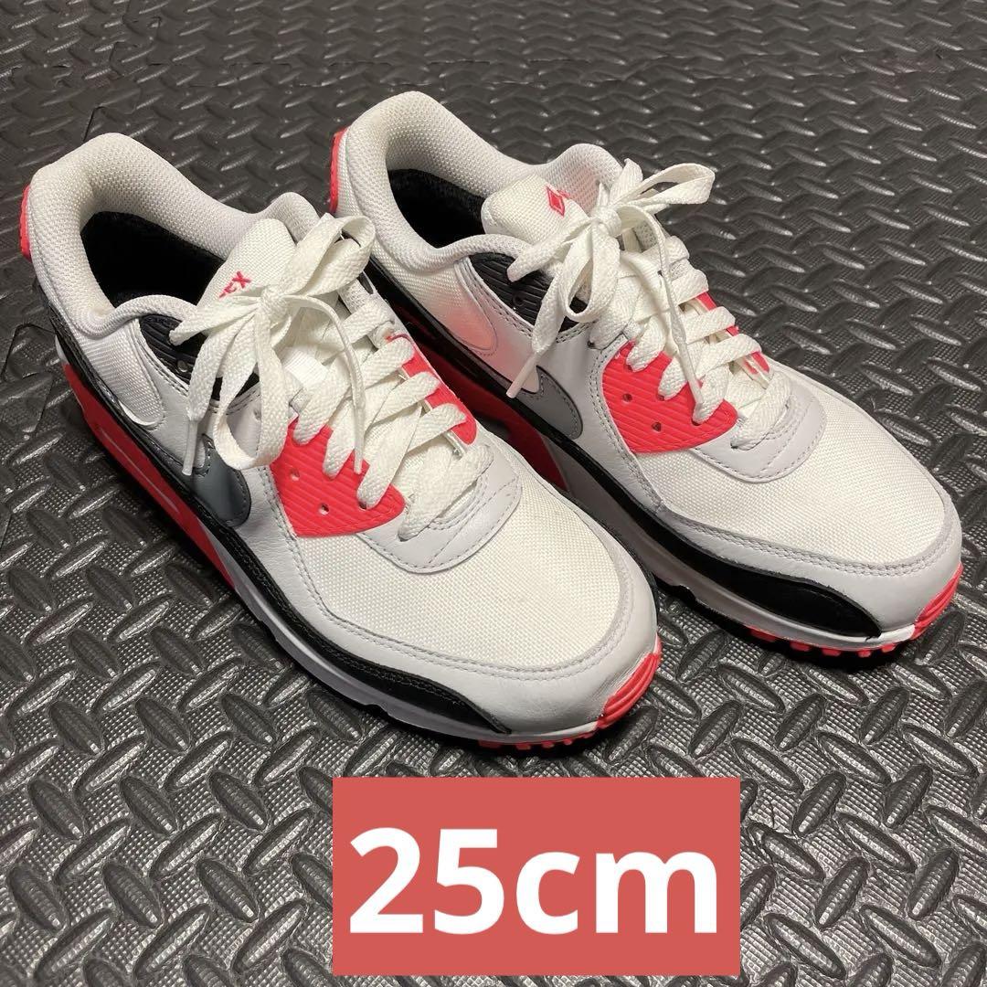 NIKE ナイキ　エアマックス90 ゴアテックス　25cm