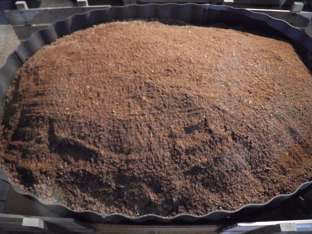 カブト虫マット33：発酵熟成竹：成虫・幼虫・産卵育成用：１００ℓ