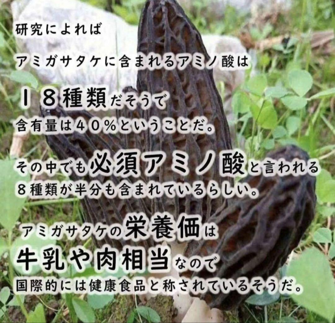 ドライモリーユ 乾燥アミガサタケ アミガサ茸 キノコ250g