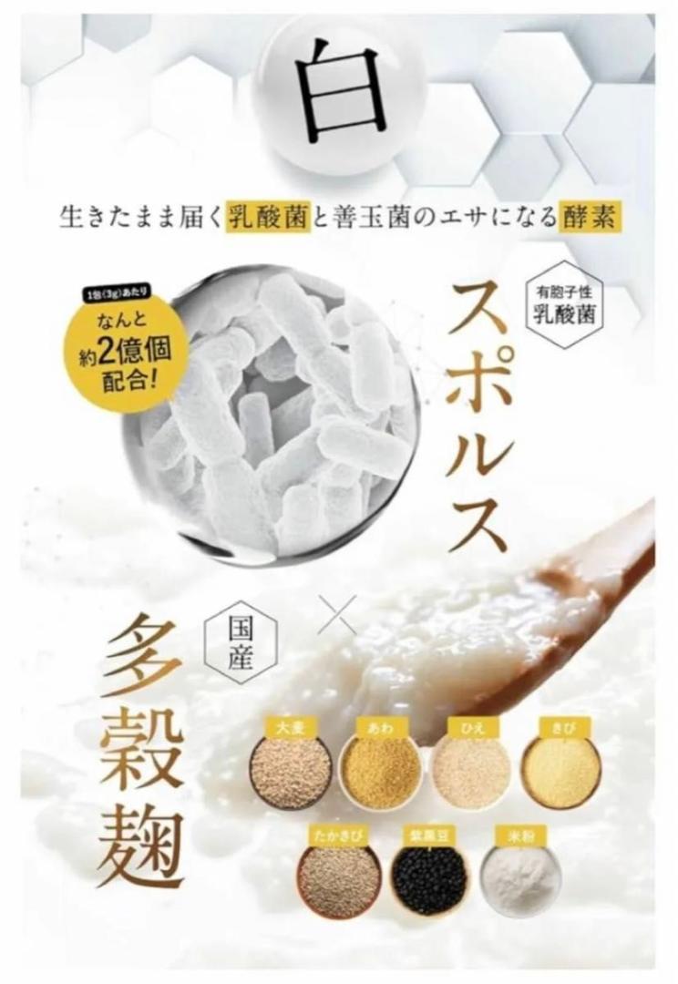 酵素づくしのべっぴん炭クレンズ チャコール クレンズ 5種の炭と