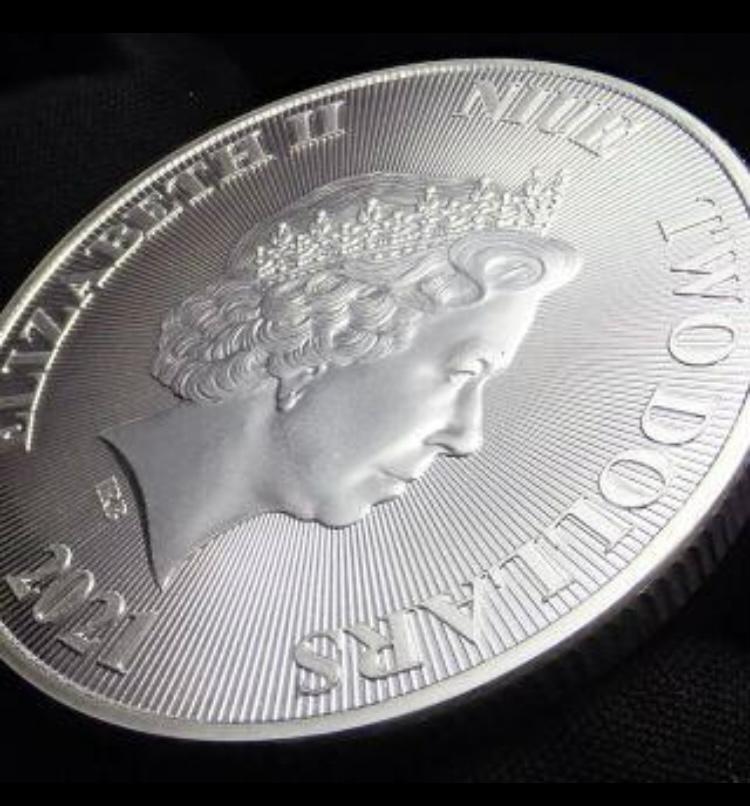 2021 Tree of life ニュージーランド1オンス 銀貨 クリアケース 2021 Tree of life ニュージーランド1オンス 銀貨 クリアケース