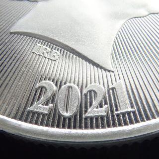 2021 Tree of life ニュージーランド1オンス 銀貨 クリアケース