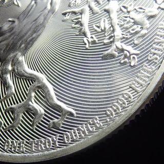 2021 Tree of life ニュージーランド1オンス 銀貨 クリアケース 2021 Tree of life ニュージーランド1オンス クリアケース FS