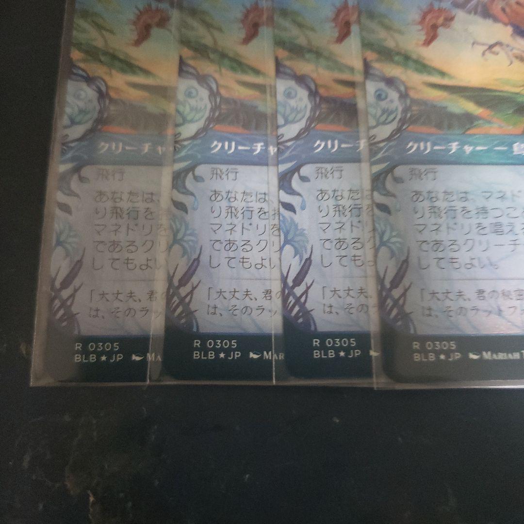 絵違い版