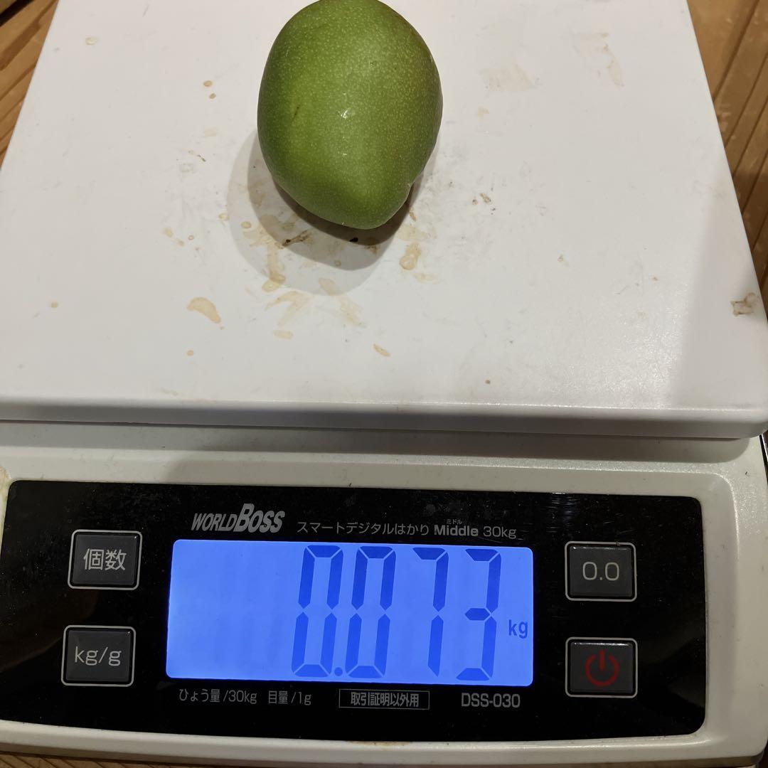 摘果マンゴー　宮崎産　グリーンマンゴー　　　小さめが多め　very small