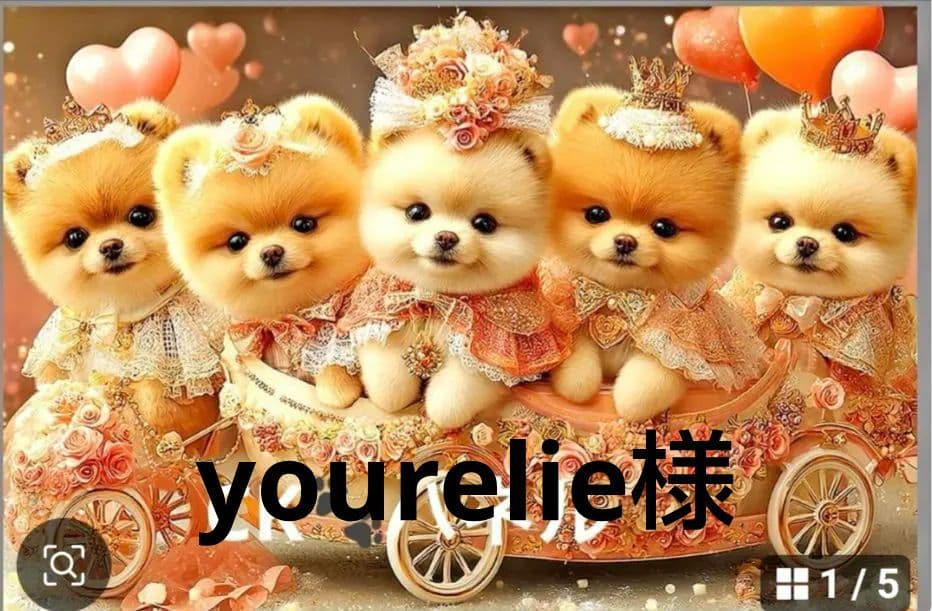 121　横長ハンカチ　ポメラニアン柄8/30