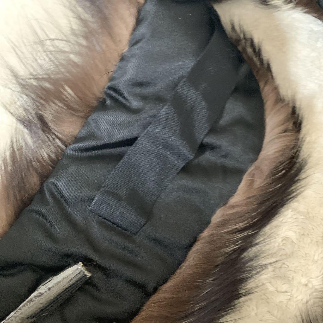 FOX サガフォックス