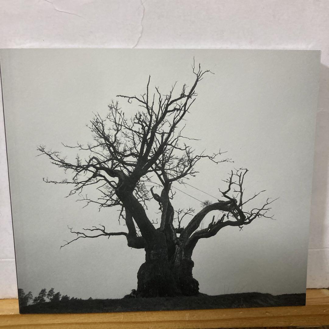 SEKAI NO OWARI 2010-2019