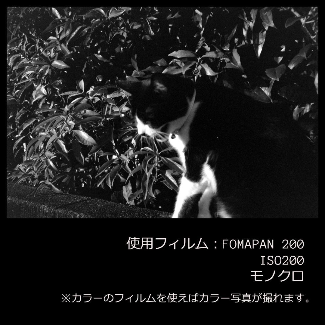 試写確認済み☆ Konica C35 EF 分解清掃済！初期動作保証☆ 試写確認済み☆ Konica C35 EF 分解清掃済！初期動作保証