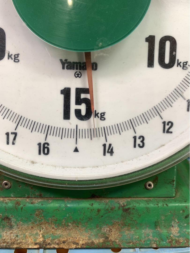 摘果マンゴー 8kg＋α