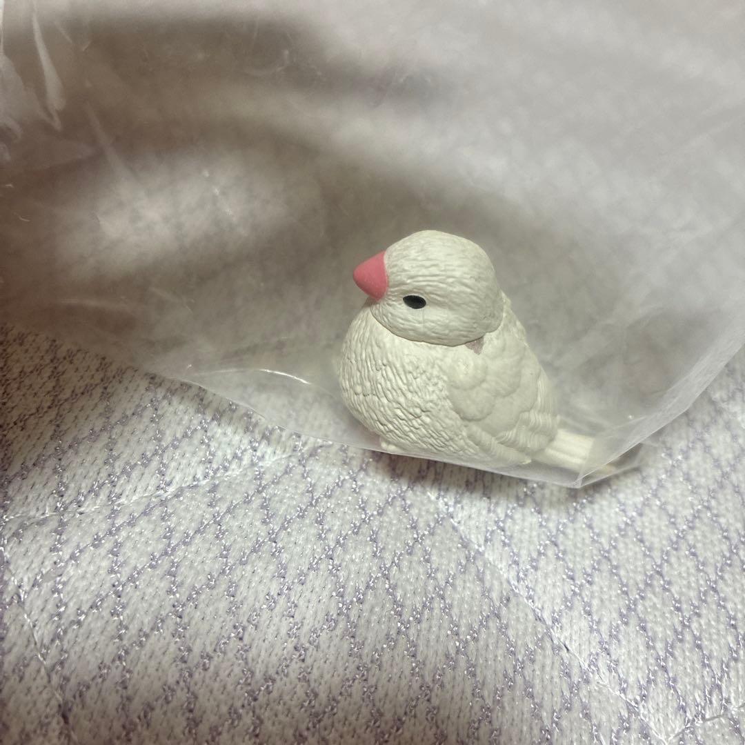 のサムネイル