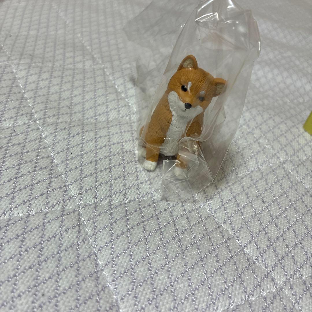 のサムネイル