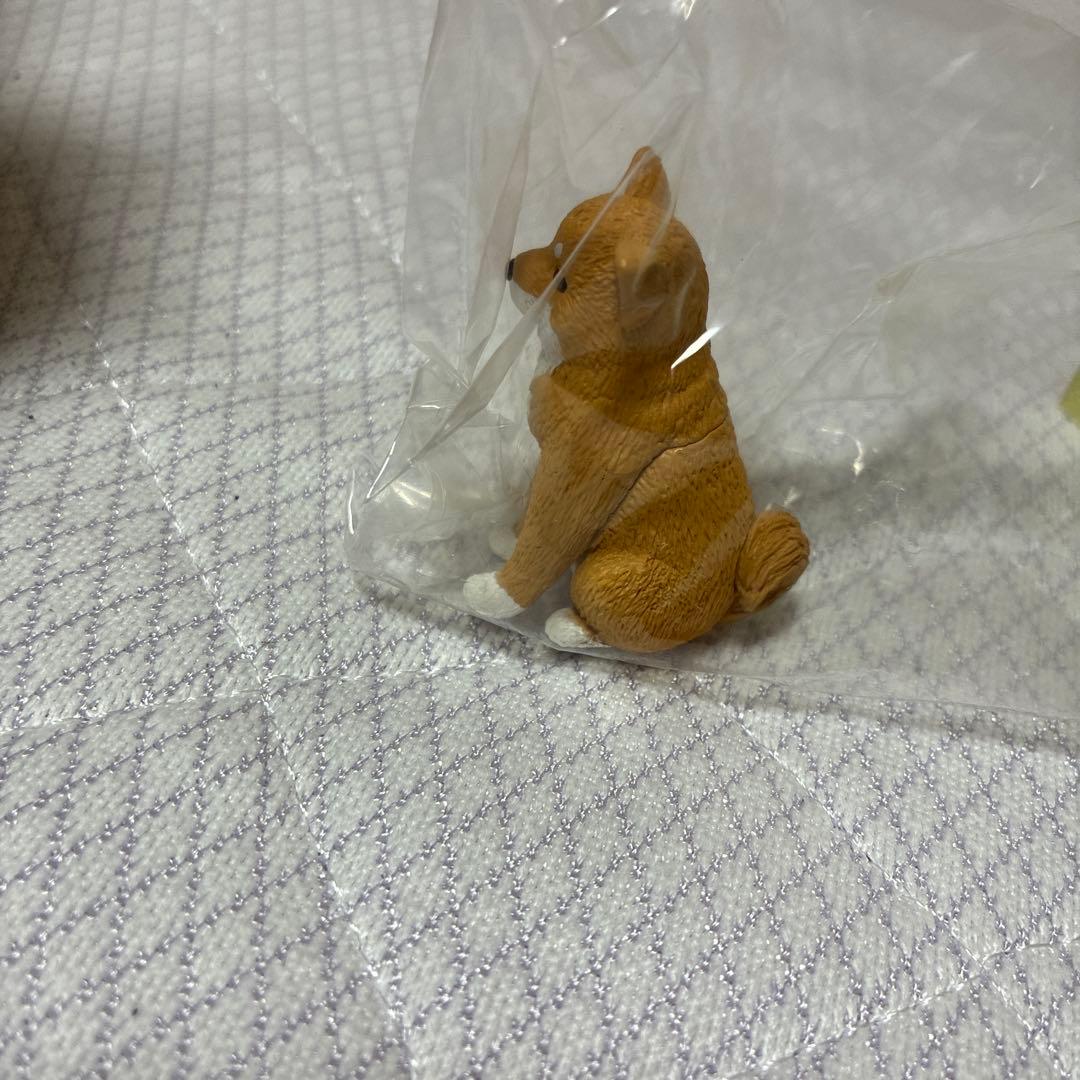 のサムネイル