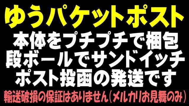 Surfans F20 ハイレゾ HiFi MP3プレーヤー SP01 Surfans F20 ハイレゾ HiFi MP3プレーヤー SP01