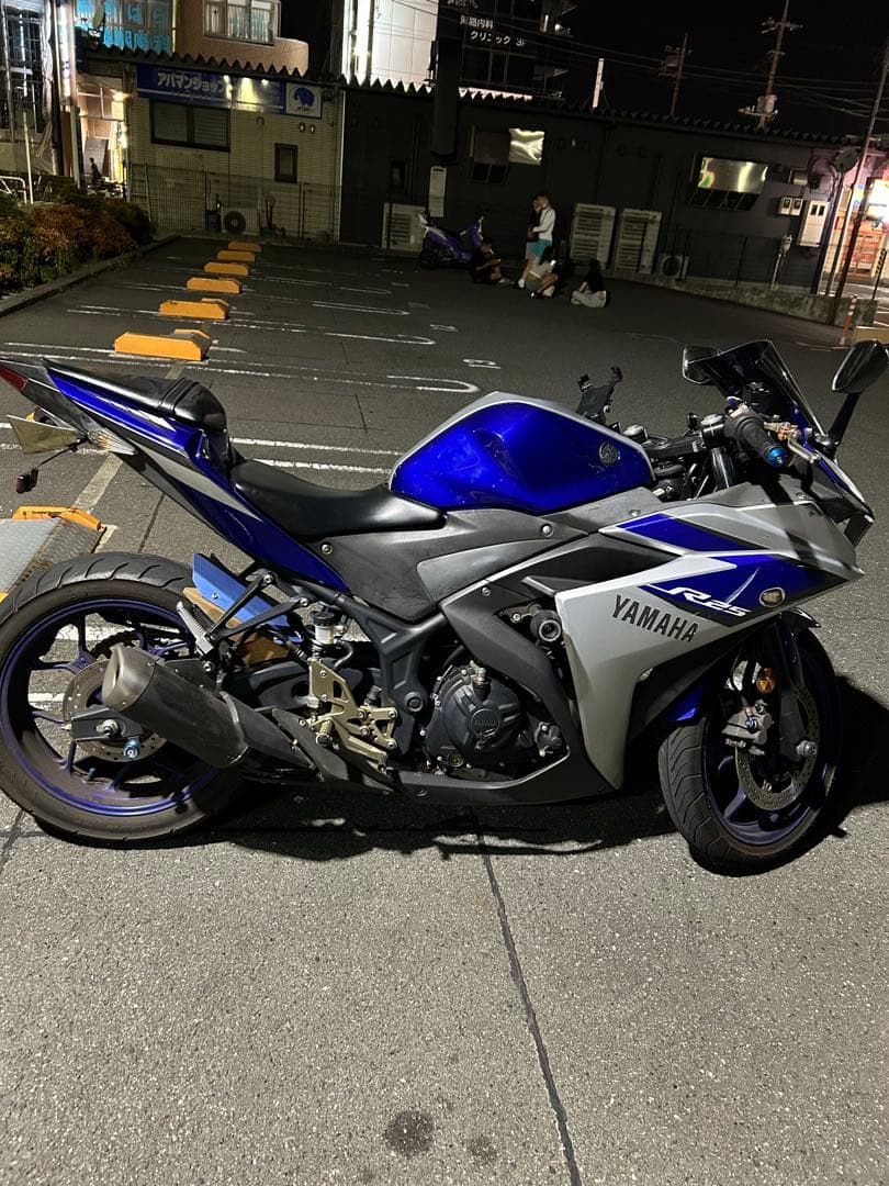 YAMAHA R25