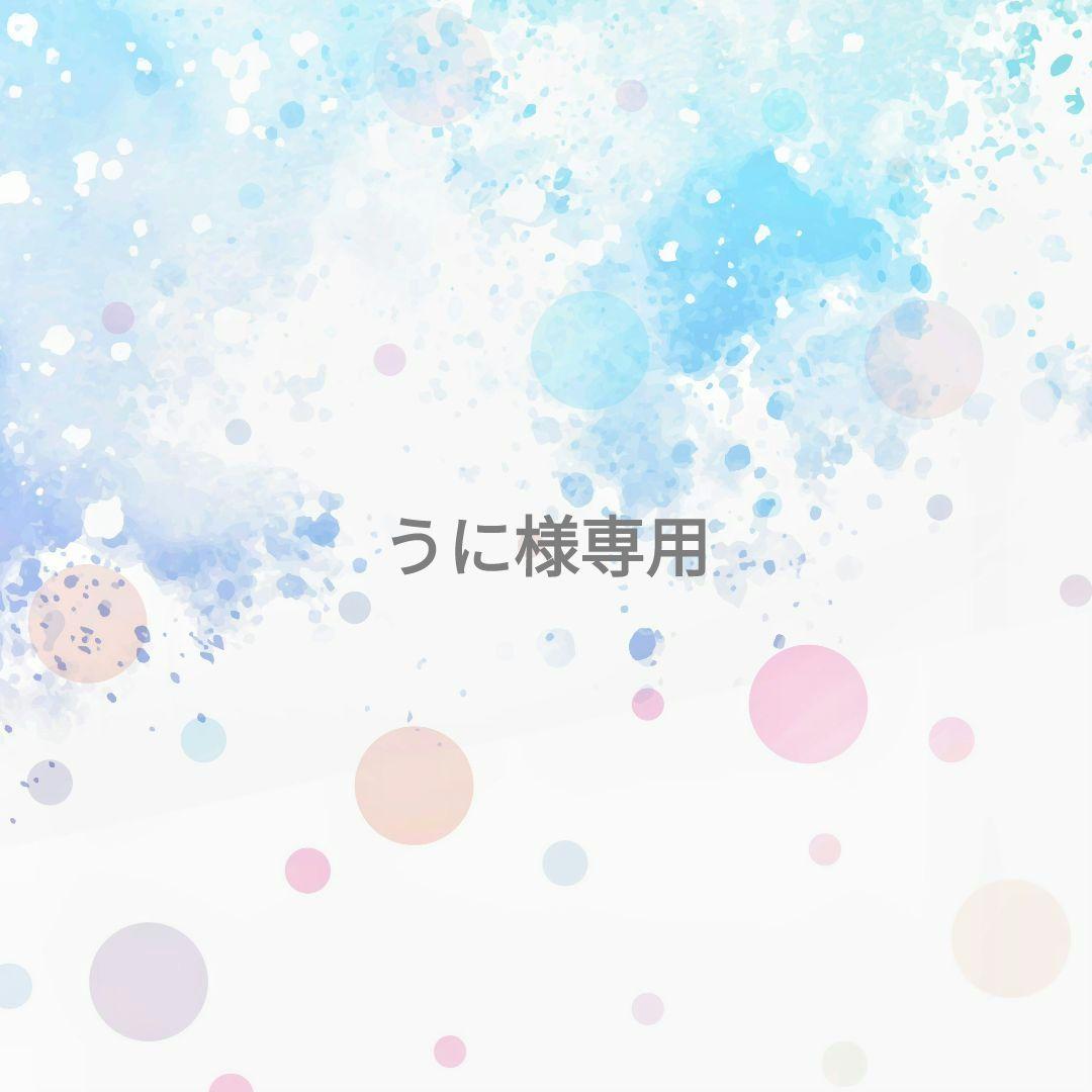 うに様専用   ぬい服   着ぐるみ