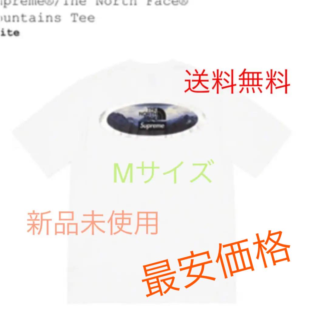 supreme x north face mountain tee