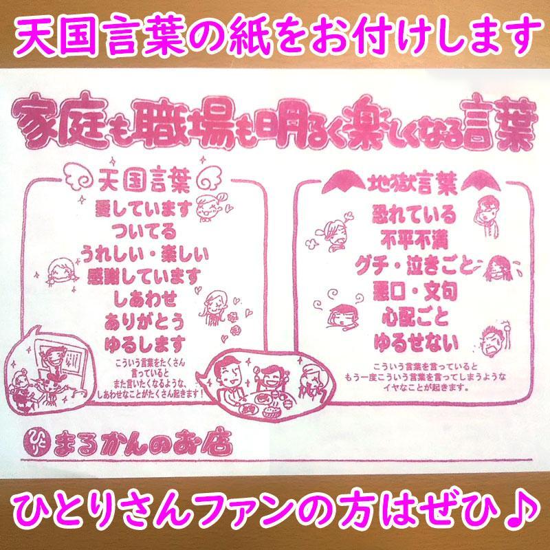 最高の品質 結界塩 天国言葉の紙つき 500g 8 斎藤一人さんオススメの自然塩 海の精 調味料 Clippingarea Com