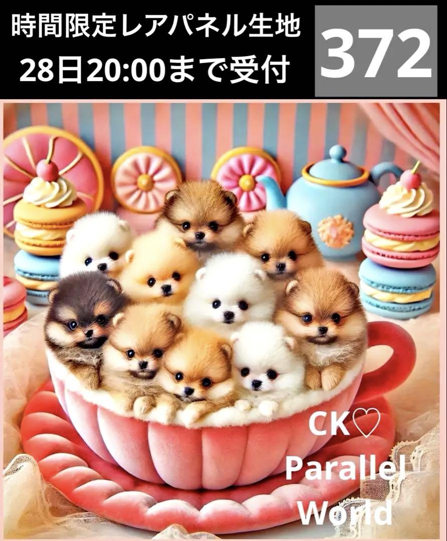 時間限定レアパネル生地　ポメラニアンパネル生地