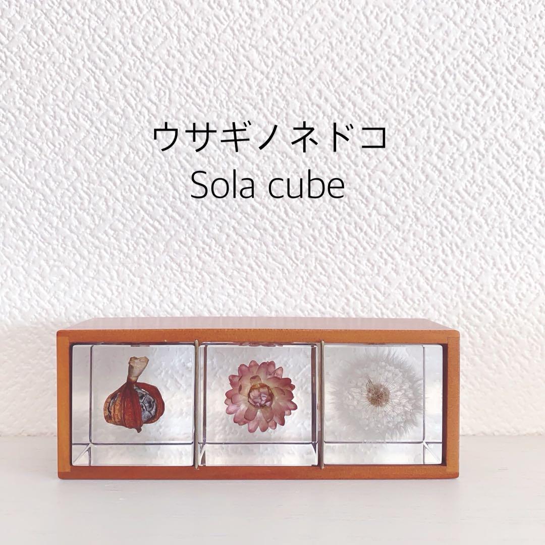 2935N9レ 未使用 3個セット ウサギノネドコ ソラキューブ - メルカリ