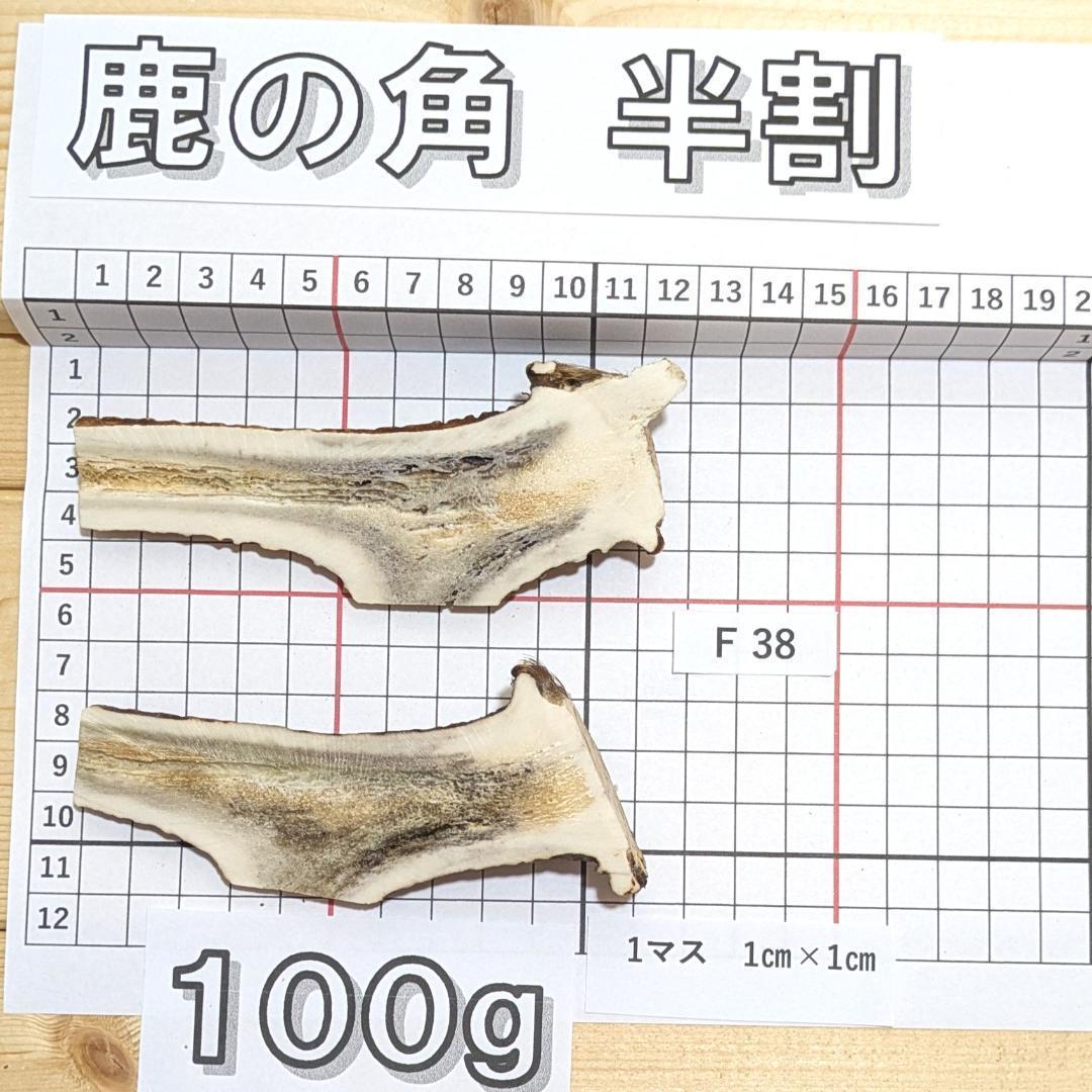鹿の角 24時間以内発送 鹿の角 24時間以内発送 AWABEES / 鹿の角