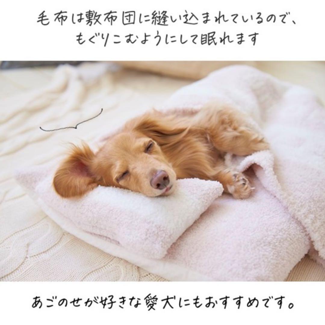 ジェラートピケ　お布団セット　ペットハウス