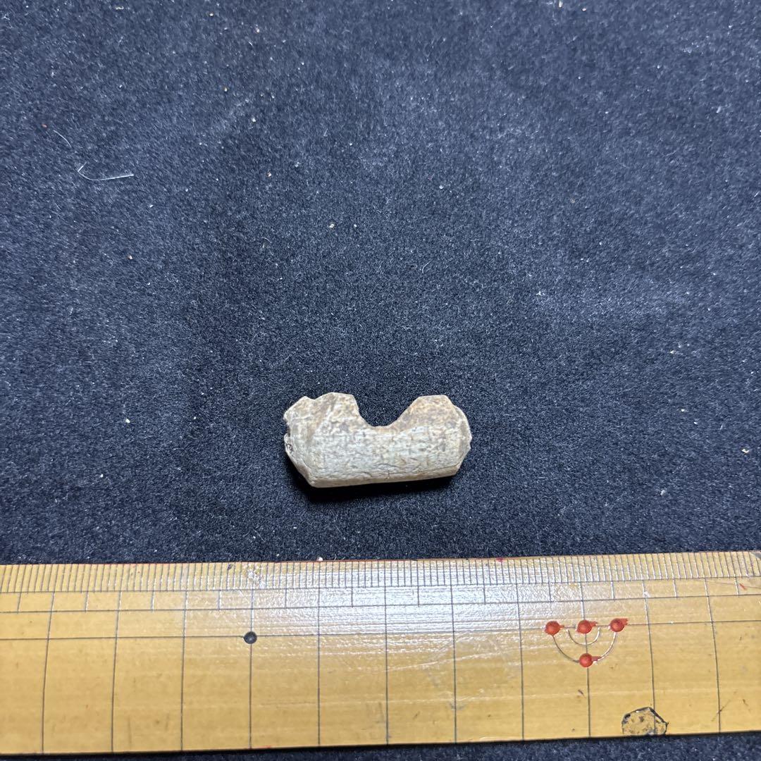 ⑥骨角製品