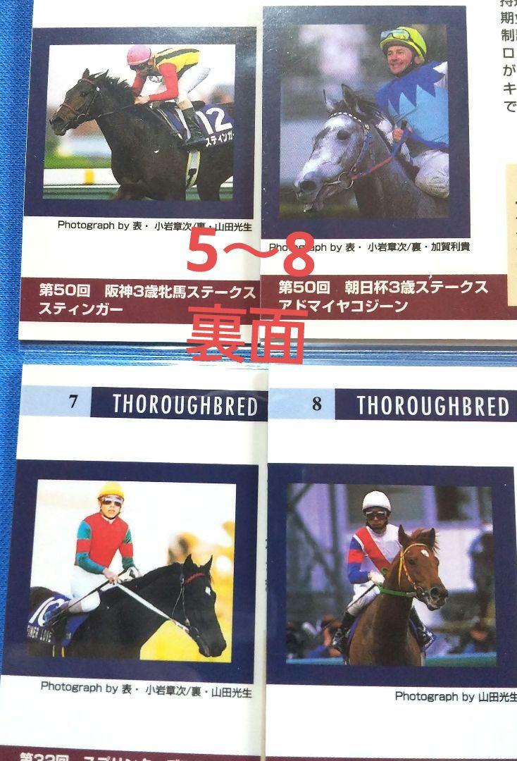 イ*将様 競馬カード キラキラ 馬 乗馬 まとめ売り アルバム G1