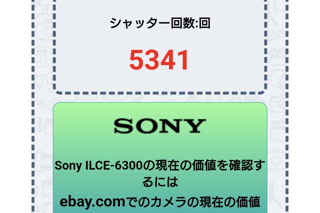 最終値下げSONY α6300 本体とマクロレンズセット