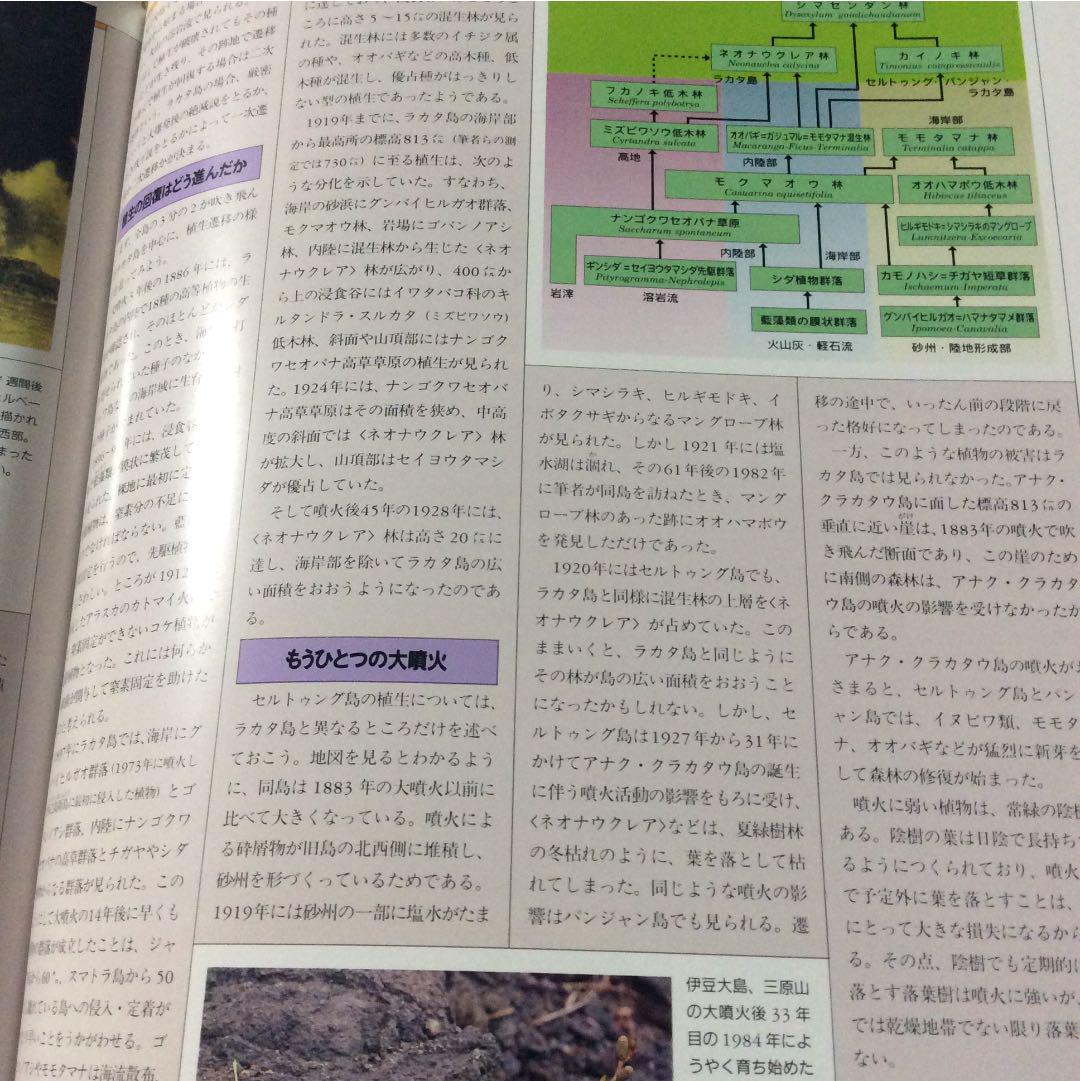 植物の世界 全15巻セット』をまとめて買い取りしました。｜古本