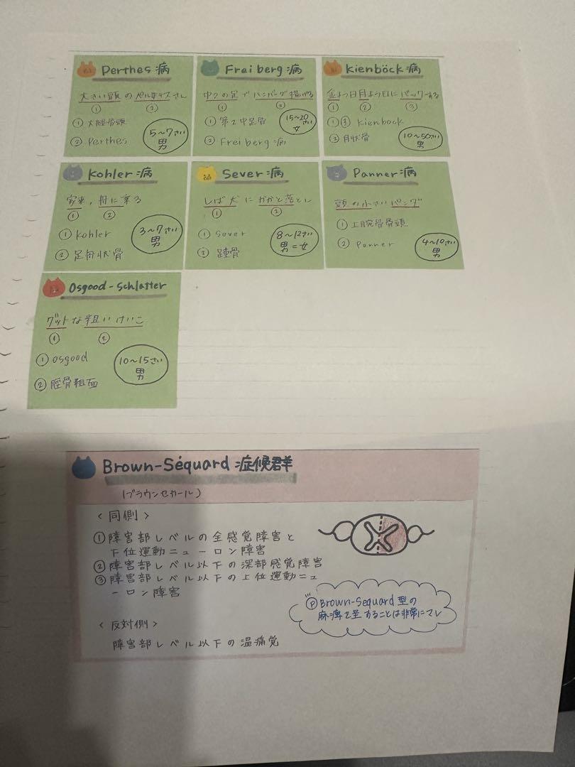 理学療法士・作業療法士まとめノート ふせんノート 語呂合わせ