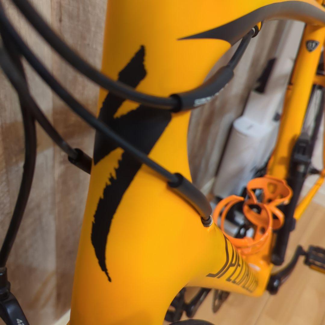 Specialized フルカーボンロードバイク