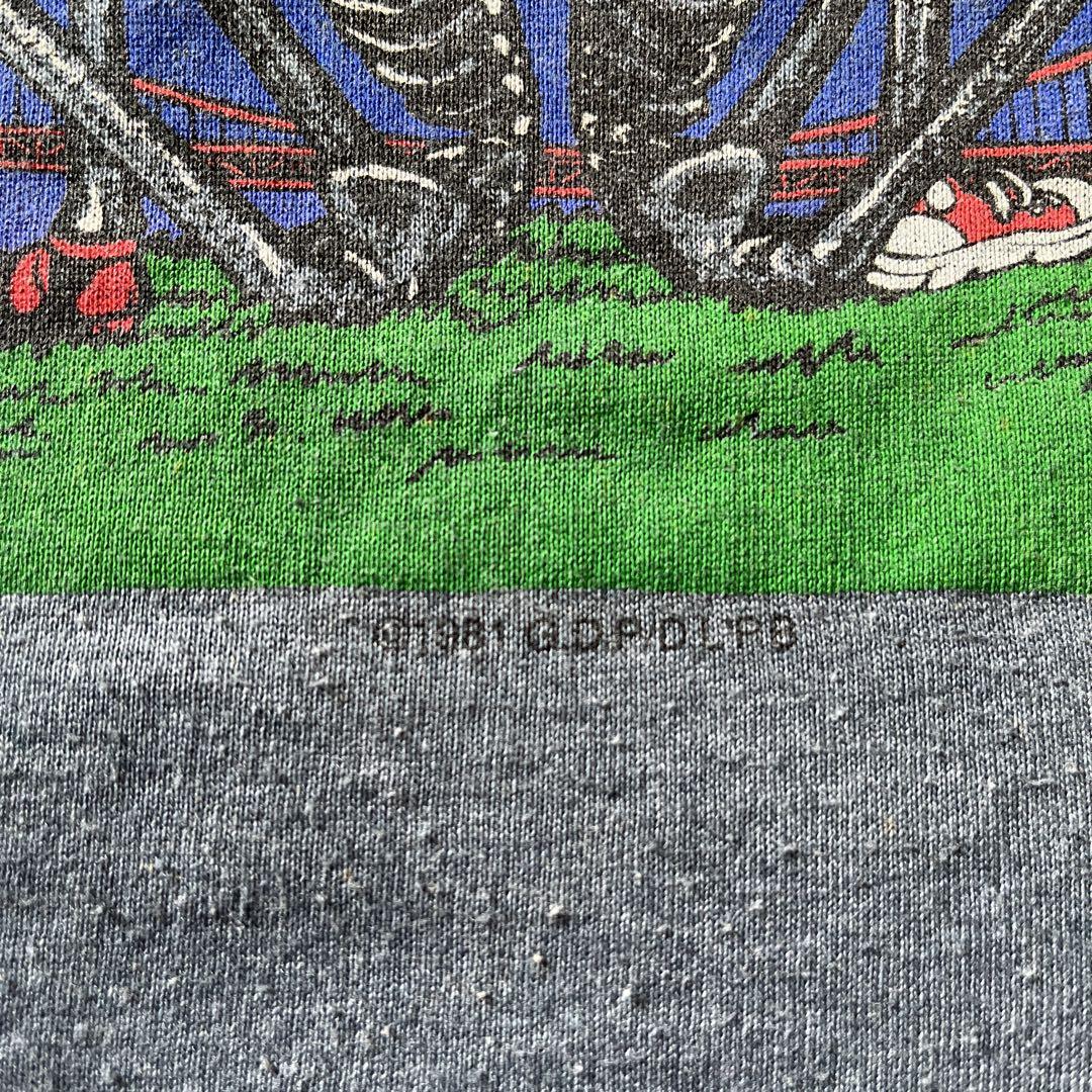 グレイトフル・デッド　ラグラン　Tシャツ　80s USA Lサイズ