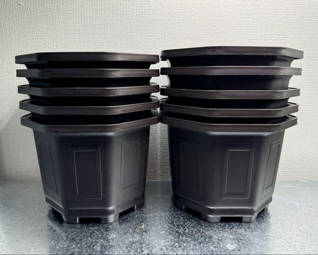 新品　台湾八角鉢　5寸　　Agave鉢　10個