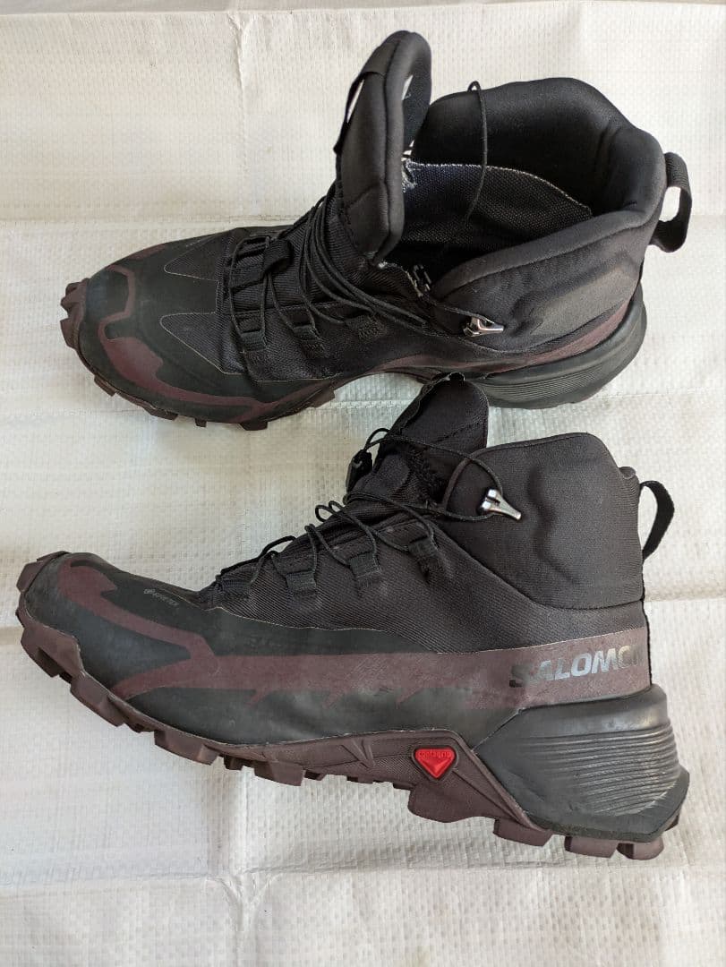 こわありん様専用水彩画 風鈴と文鳥 値段は700円です