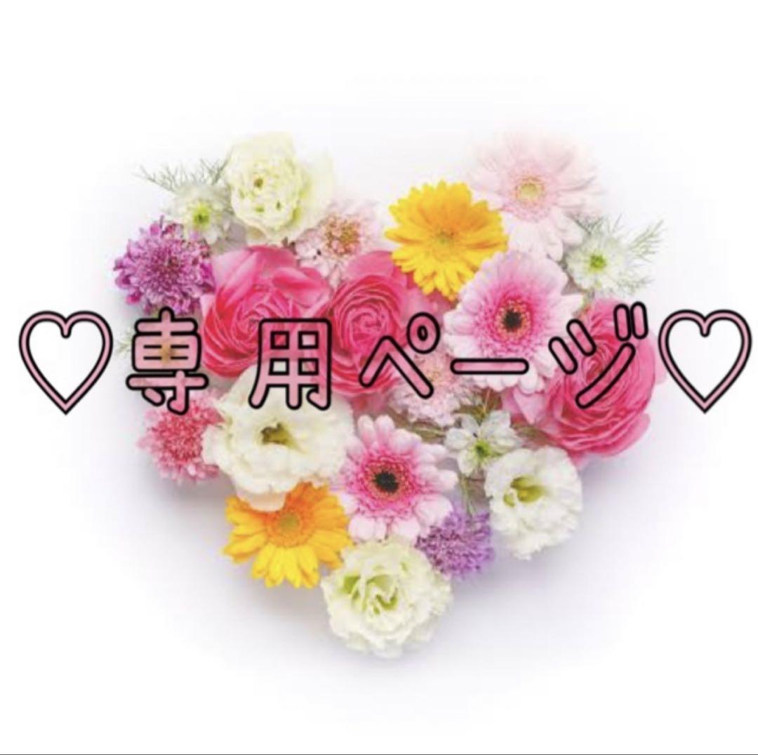 専用ページ