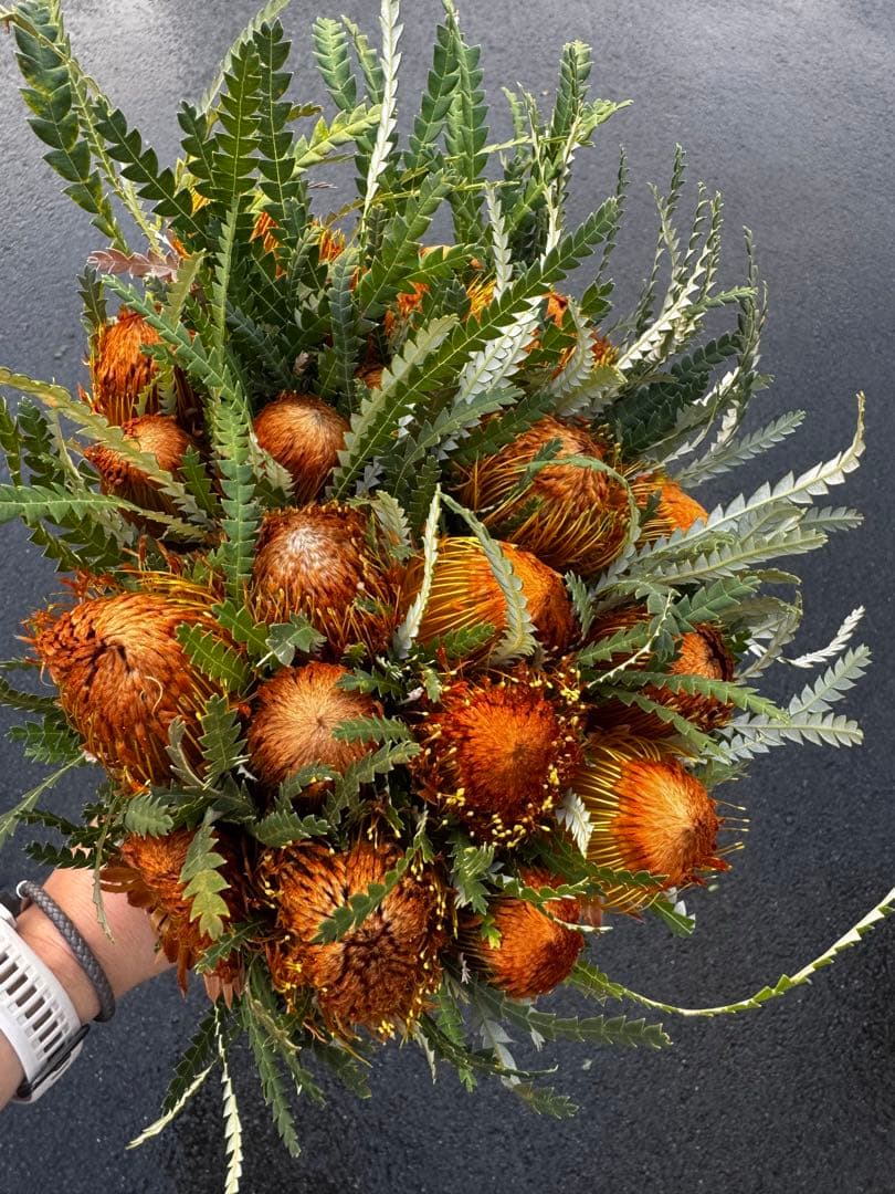 こどもと暮らし様 リクエスト 5点 まとめ商品