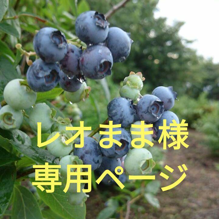 レオまま様★専用ページ