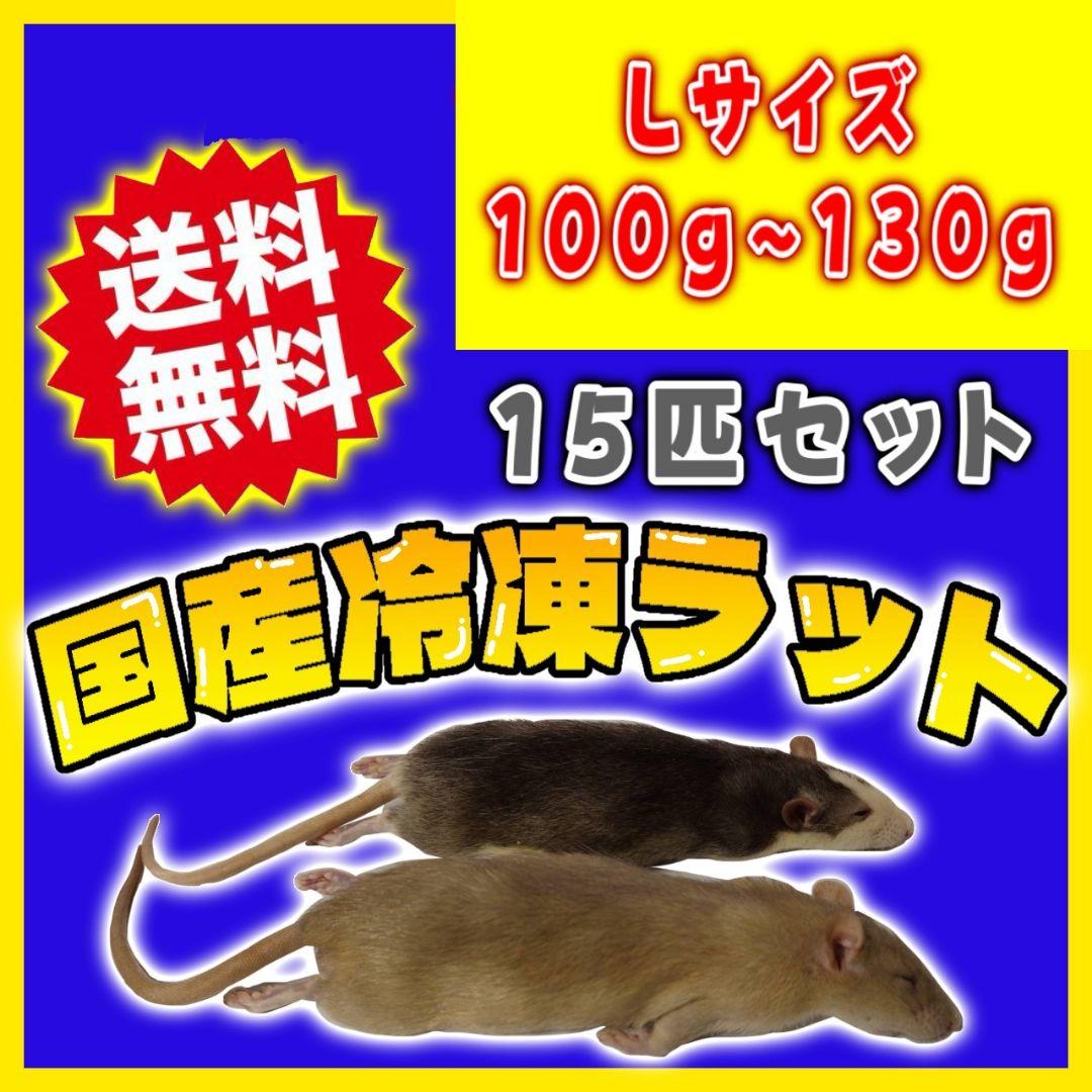 個包装 冷凍ラット 15匹セット 100~130g