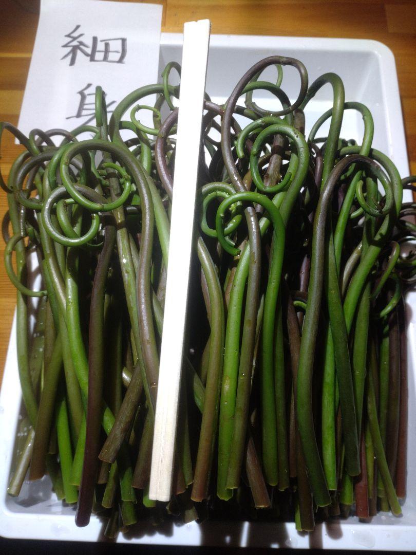 令和7年度秋田県産天然乾燥ゼンマイ400g(中太)1