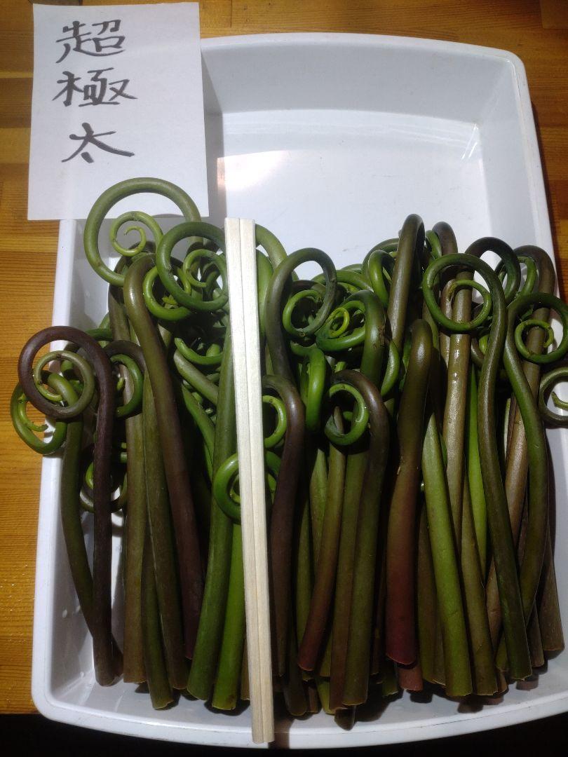 令和7年度秋田県産天然乾燥ゼンマイ400g(中太)1