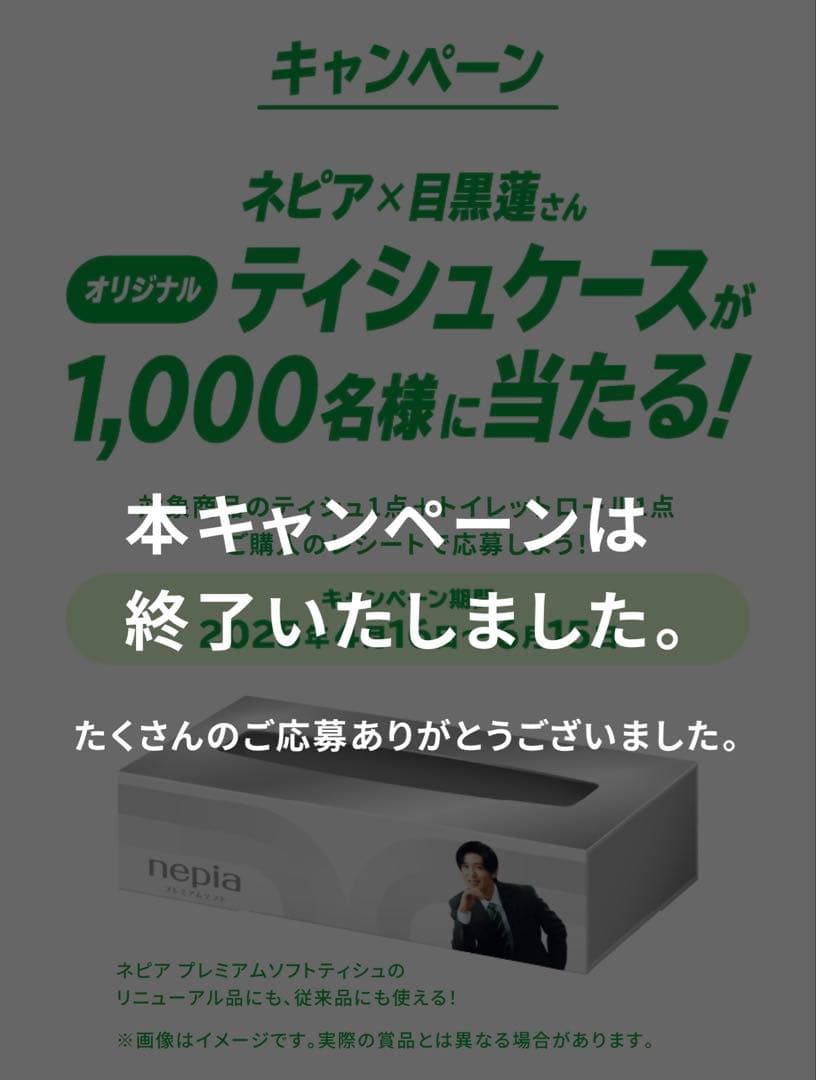 ネピア オリジナルティッシュケース